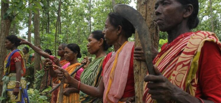Le donne Adivasi